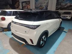 BYD Dolphin 420km Freedom Edition - ფოტო 6