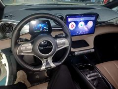 BYD Dolphin 420km Freedom Edition - ფოტო 9