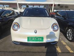 ORA Good Cat 400km Standard Range Athena Edition Ternary Lithium - ფოტო 2