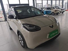 Wuling Binguo 2023 410km Lingxi Premium Edition - ფოტო 3