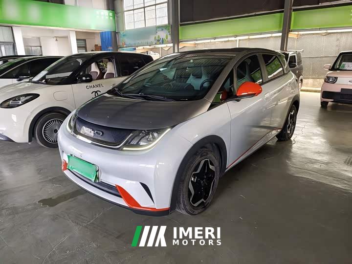 BYD Dolphin 405km Freedom Edition - ავტომობილი ჩინეთიდან