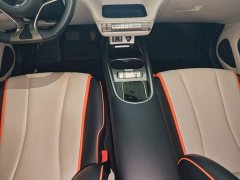 BYD Dolphin 405km Freedom Edition - ფოტო 14