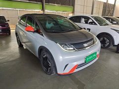 BYD Dolphin 405km Freedom Edition - ფოტო 4