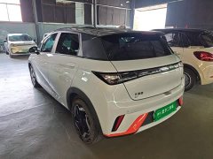 BYD Dolphin 405km Freedom Edition - ფოტო 5