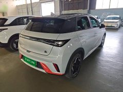 BYD Dolphin 405km Freedom Edition - ფოტო 7