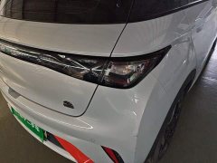 BYD Dolphin 405km Freedom Edition - ფოტო 8