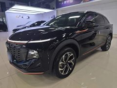 Haval Shenshou 2022 1.5T Smart Leader Edition - ფოტო 1