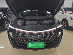 Haval Shenshou 2022 1.5T Smart Leader Edition - ფოტო 19