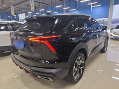 Haval Shenshou 2022 1.5T Smart Leader Edition - ფოტო 6