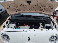 Ora Black Cat 351km Comfort Ternary Lithium - ფოტო 20