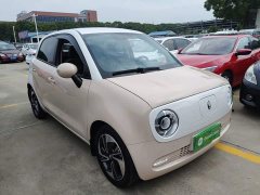 Ora Black Cat 351km Comfort Ternary Lithium - ფოტო 4
