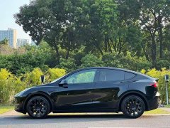 Tesla Model Y Standard Range RWD - ფოტო 4