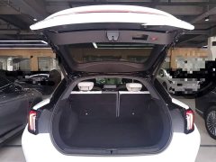 Arcfox Alpha S 2022 708S 160kW - ფოტო 18