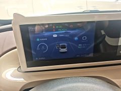 Wuling Binguo 333km Joy Edition - ფოტო 11