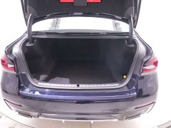 BMW 5 Series Facelift 530Li Premier M Sport Package - ფოტო 19