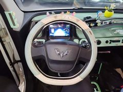 Wuling Hongguang MINIEV 2020 Zizai Edition LFP Battery - ფოტო 11