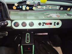 Wuling Hongguang MINIEV 2020 Zizai Edition LFP Battery - ფოტო 13