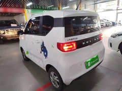 Wuling Hongguang MINIEV 2020 Zizai Edition LFP Battery - ფოტო 5