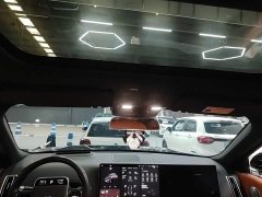 Li Auto L9 Pro - ფოტო 17