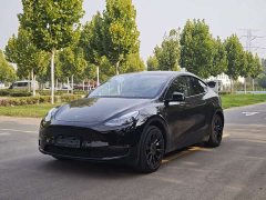 Tesla Model Y 2023 Long Range All-Wheel Drive - ფოტო 1