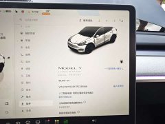 Tesla Model Y 2023 Long Range All-Wheel Drive - ფოტო 11