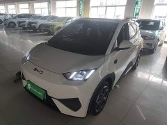 BYD Seagull Smart Driving Edition 305km Freedom Edition - ფოტო 1