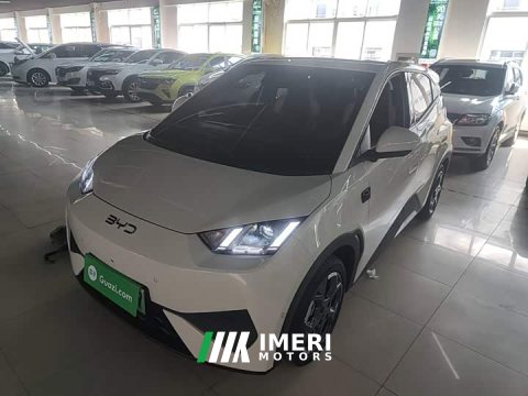 2025 BYD Seagull Smart Driving Edition 305km Freedom Edition - ავტომობილი ჩინეთიდან