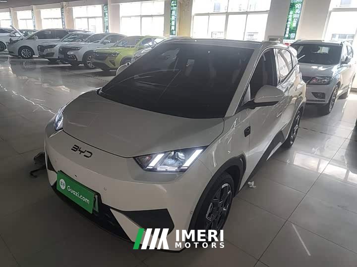 BYD Seagull Smart Driving Edition 305km Freedom Edition