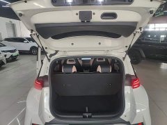 BYD Seagull Smart Driving Edition 305km Freedom Edition - ფოტო 18