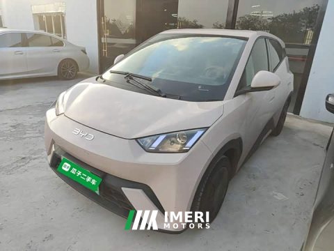 2024 BYD Seagull Glory Edition 305km Vitality Version - ავტომობილი ჩინეთიდან