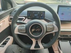BYD Seagull Glory Edition 305km Vitality Version - ფოტო 10