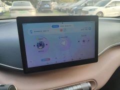 BYD Seagull Glory Edition 305km Vitality Version - ფოტო 12