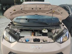 BYD Seagull Glory Edition 305km Vitality Version - ფოტო 19