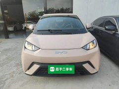 BYD Seagull Glory Edition 305km Vitality Version - ფოტო 2