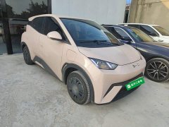 BYD Seagull Glory Edition 305km Vitality Version - ფოტო 3