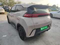 BYD Seagull Glory Edition 305km Vitality Version - ფოტო 4