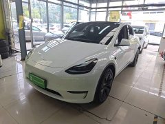 Tesla Model Y 2023 Long Range All-Wheel Drive - ფოტო 1