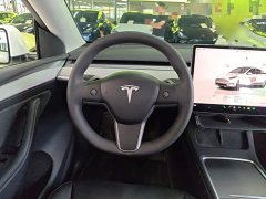 Tesla Model Y 2023 Long Range All-Wheel Drive - ფოტო 10