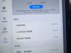 XPeng P5 2021 550P - ფოტო 9