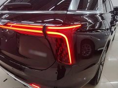FAW Red Flag E-HS9 2022 690km Range Flagship Edition Six-Seater - ფოტო 7