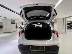 Geely Geometry E Firefly 301km Aurora - ფოტო 9