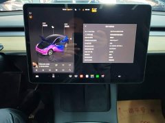 Tesla Model Y 2022 Facelift Rear-Wheel Drive - ფოტო 12