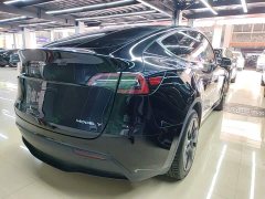 Tesla Model Y 2022 Facelift Rear-Wheel Drive - ფოტო 6