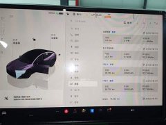 Tesla Model 3 2023 Rear-Wheel Drive - ფოტო 11