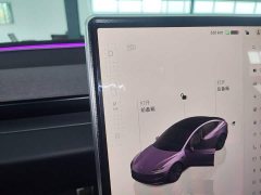 Tesla Model 3 2023 Rear-Wheel Drive - ფოტო 13