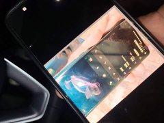 Tesla Model 3 2023 Rear-Wheel Drive - ფოტო 8