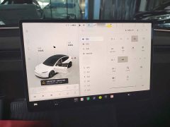 Tesla Model 3 Rear-Wheel Drive - ფოტო 7