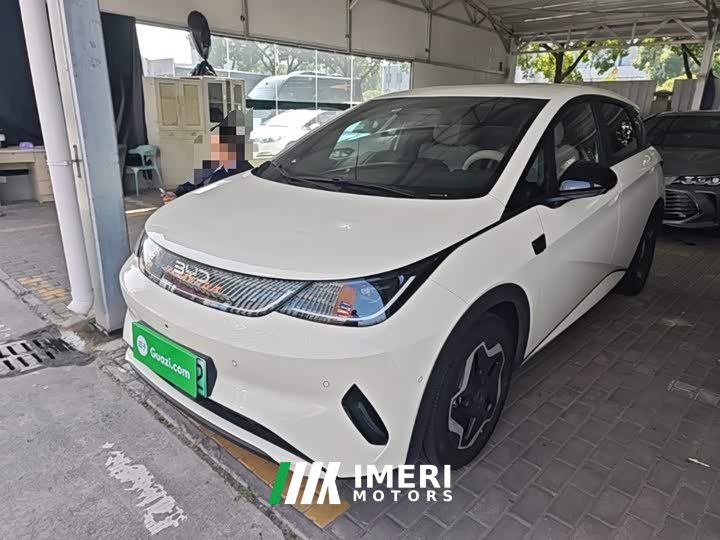 BYD Dolphin Smart Drive 420km Freedom Edition