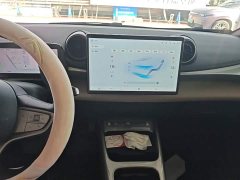 BYD Dolphin Smart Drive 420km Freedom Edition - ფოტო 13