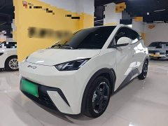 BYD Seagull Glory Edition 305km Freedom Version - ფოტო 1